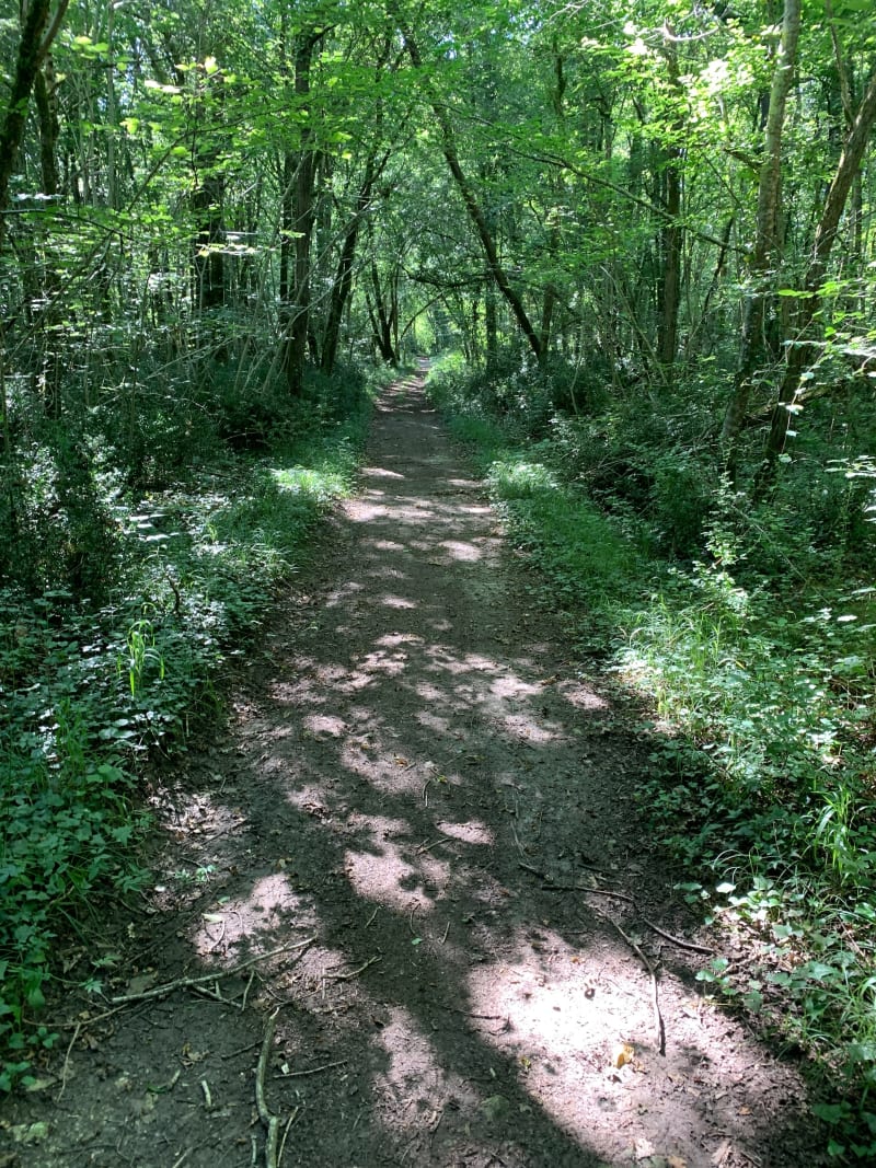Session VTT autour de Chérac - Chérac