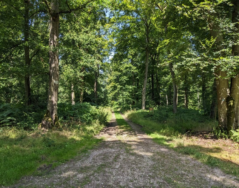Louviers - Bois du Défend (Mare aux Cailloux) - Louviers