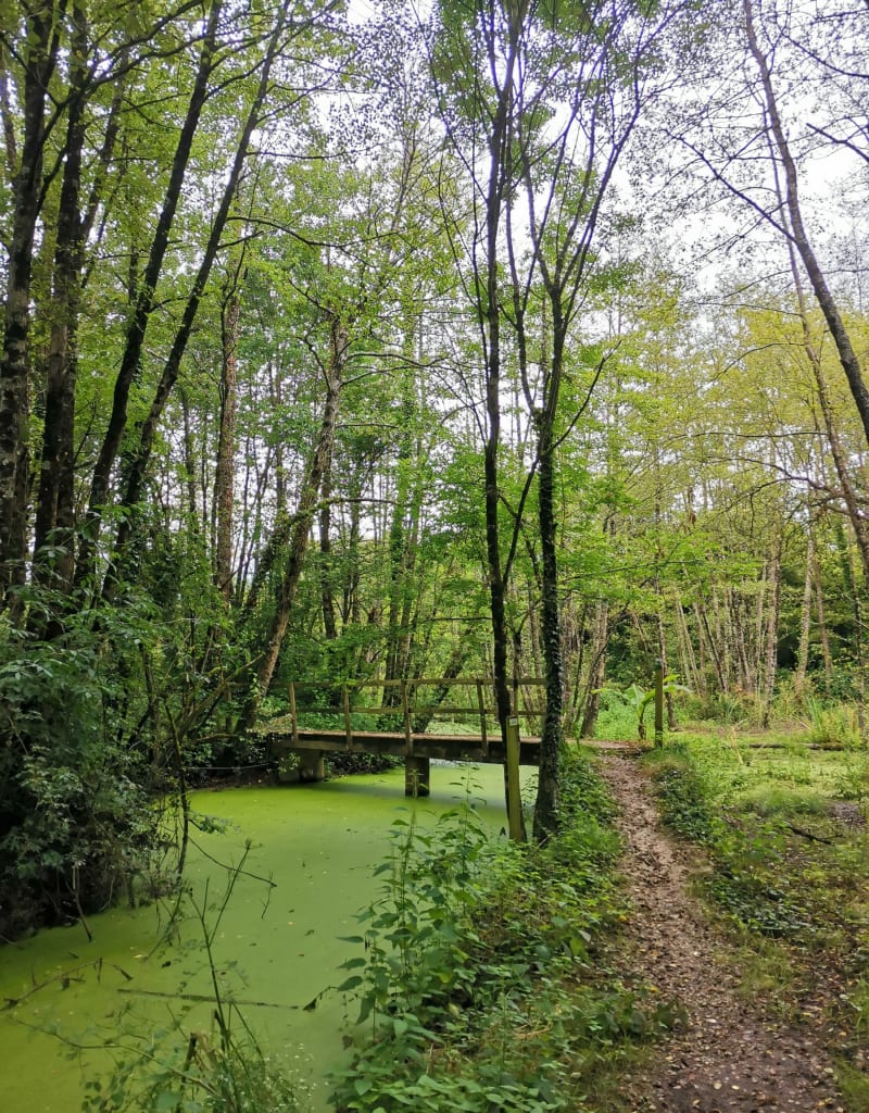 Sentier du Jaunay - Beaulieu-sous-la-Roche