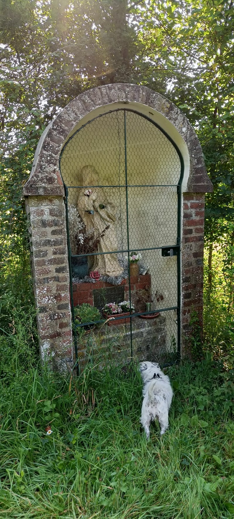 Balade en pays d'Auge - Courtonne-la-Meurdrac