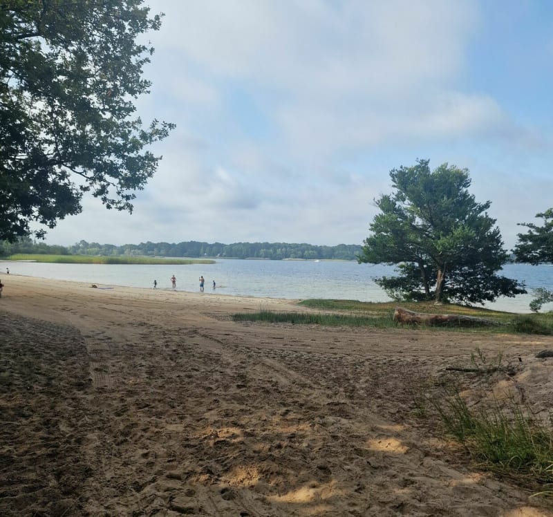 Balade à vélo le long du lac de Sanguinet - Sanguinet