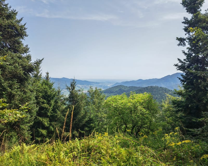 Le haut de Wasserbourg - Wasserbourg