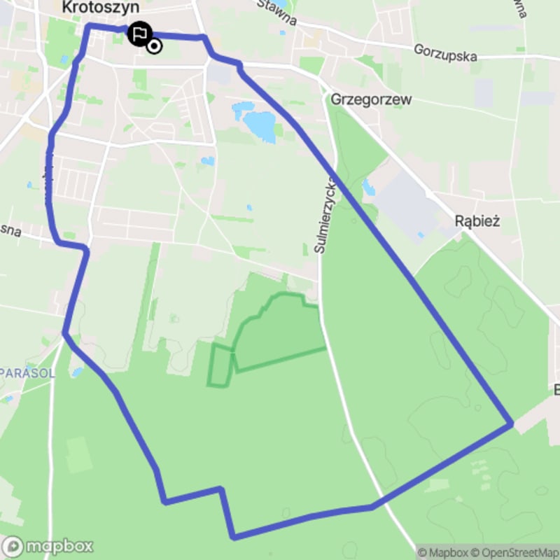 Ścieżką przez lasy - spacer średnio trudny o długości 11,7 km w Krotoszynie - Krotoszyn