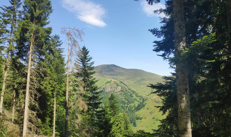 Crète de la vallée d’Oueil - Cirès