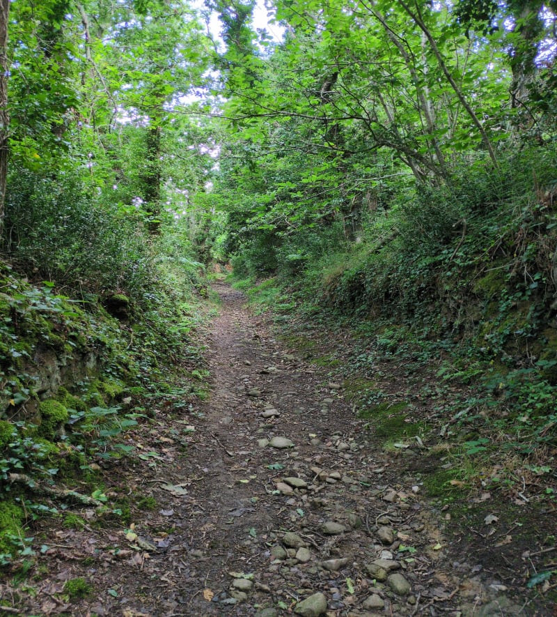 Balade avec vue sur Crozon - Plouzané