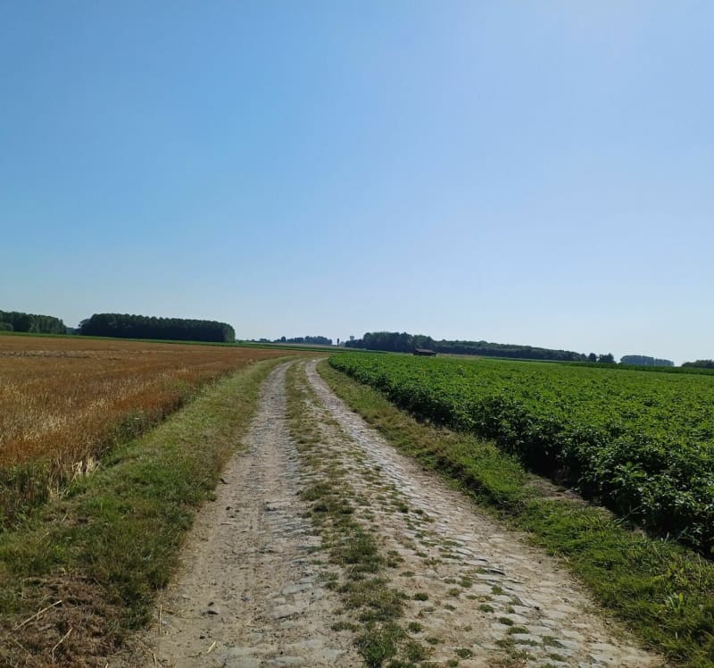 Boucle de Ronge Maulde Rongy - Brunehaut