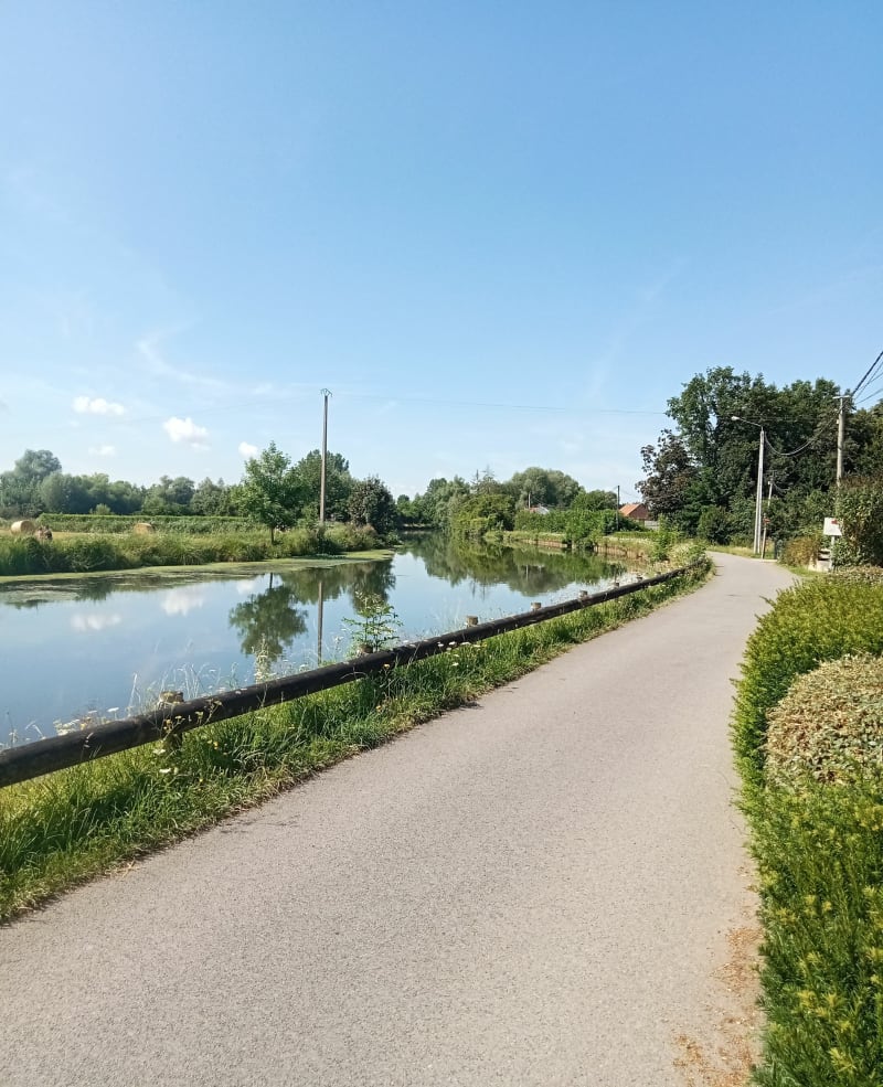 Forêt et pavés autour de la Scarpe - Marchiennes