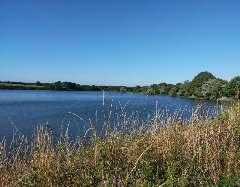 Lac de la Bultière - La Boissière-de-Montaigu