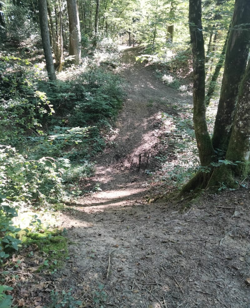 Balade à Noironte - Noironte