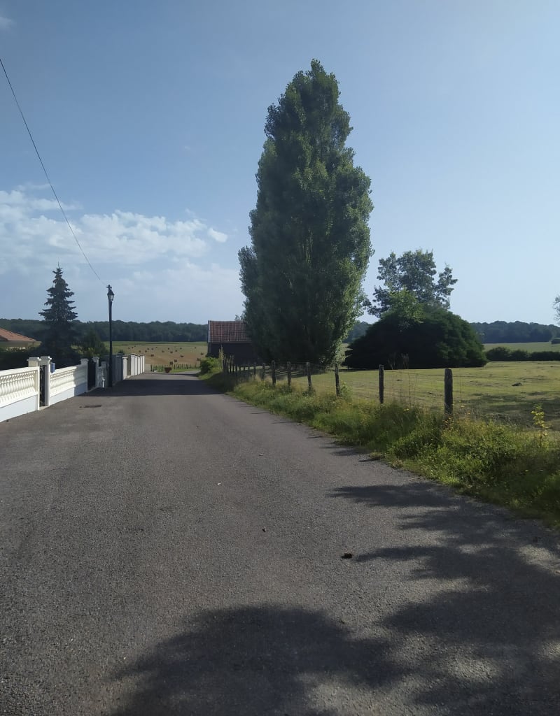 La petite boucle du parlement en forêt du Der - Frampas