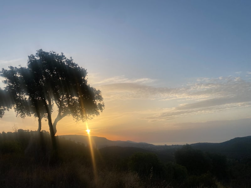 Boucle le Trapan et sentier du littoral - Bormes-les-Mimosas