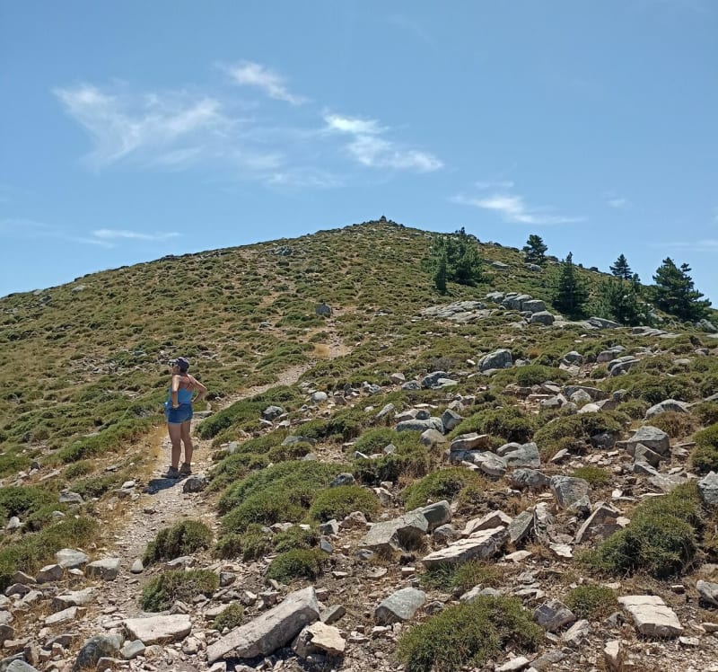 Bergerie de Luvviu et Monte Calva - Zonza