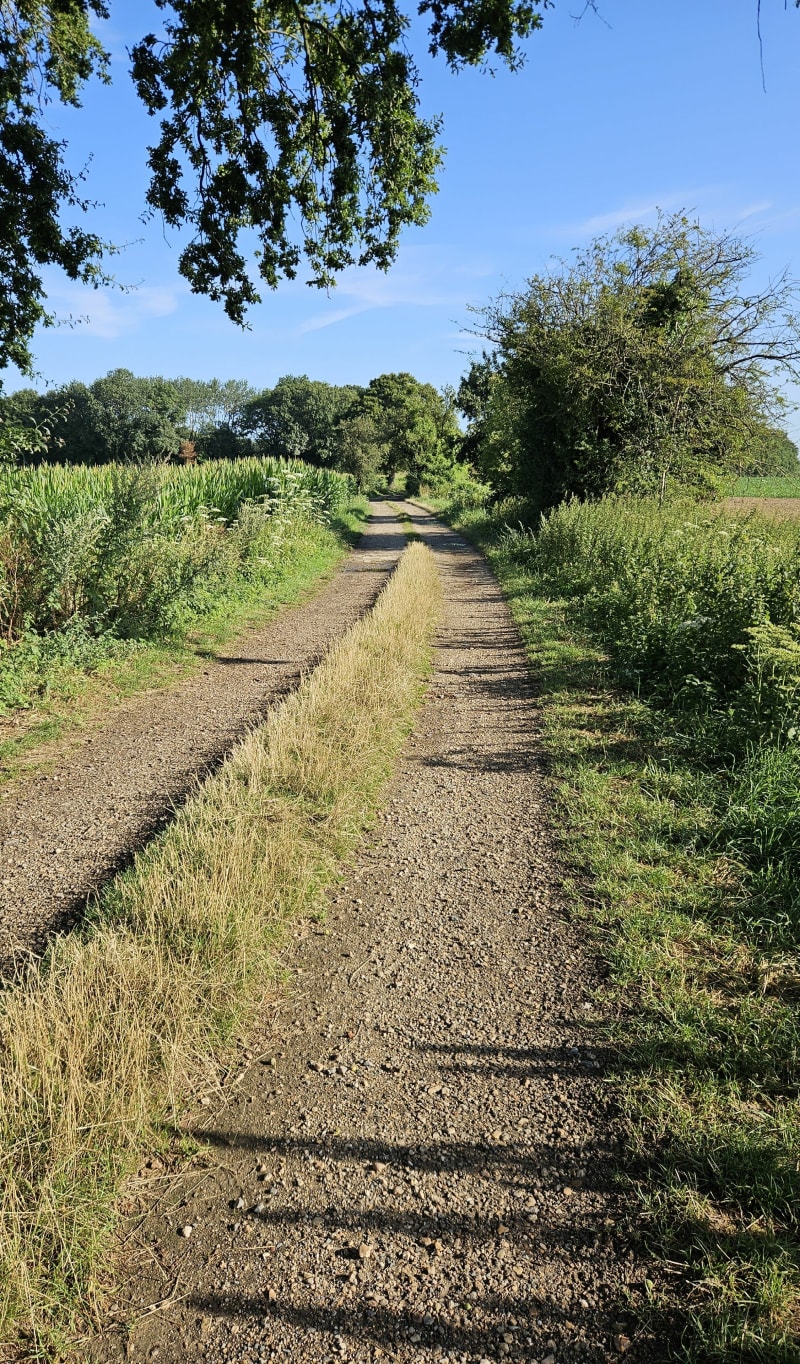Autour de Survilliers - Survilliers