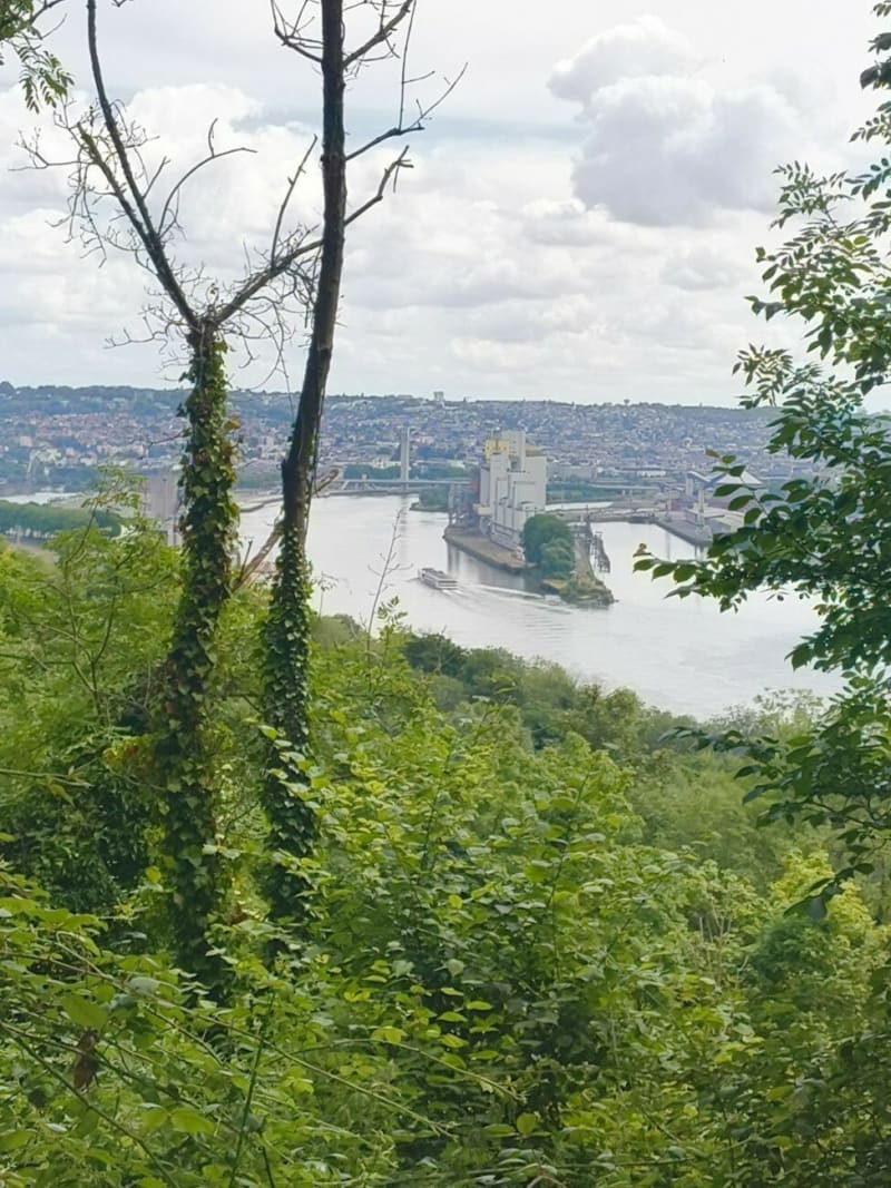 Aux abords de Canteleu - Hautot-sur-Seine