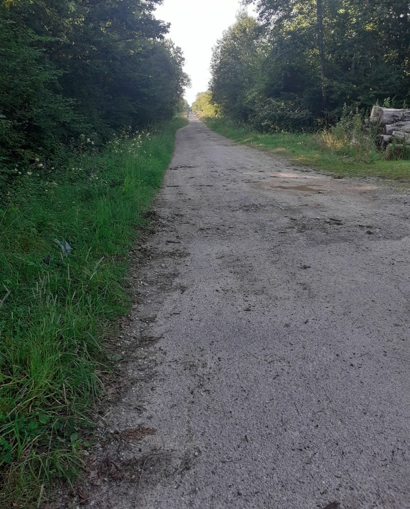 Balade autour de la Seille - Pont-à-Mousson