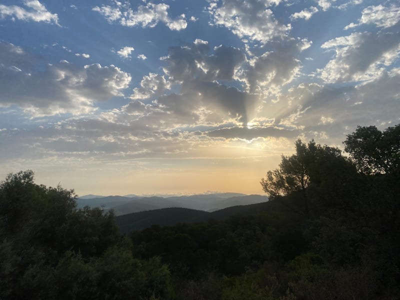 Colline et centre ville - Hyères