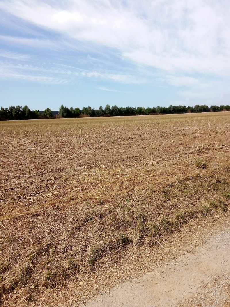Longue balade dans le Calvados - Saint-Manvieu-Norrey