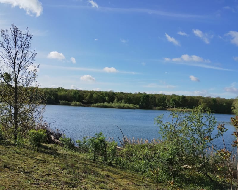 Entre Seine et forêt de Saint-Germain-en-Laye - Sartrouville