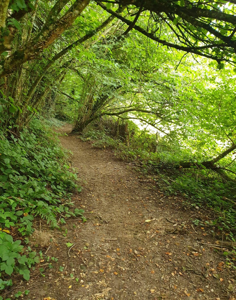L'étang de Gole via Le Grand Bois - Rochetoirin