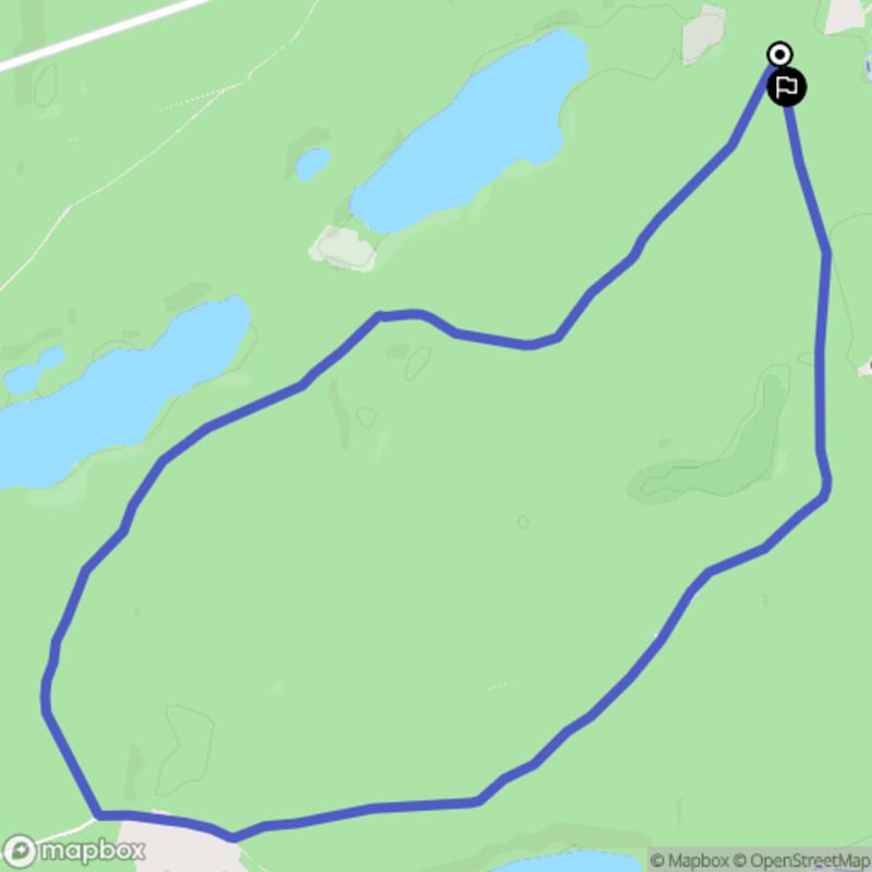 Ścieżka szumów lasu z Starego Osieczna - trudny poziom, 8,5 km. - Stare Osieczno