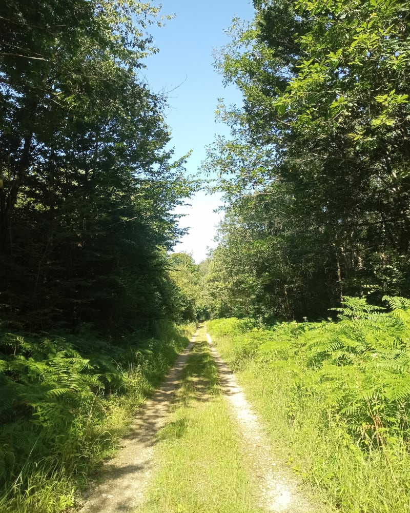 Aumont entre Soleil et sous bois - Aumont-en-Halatte