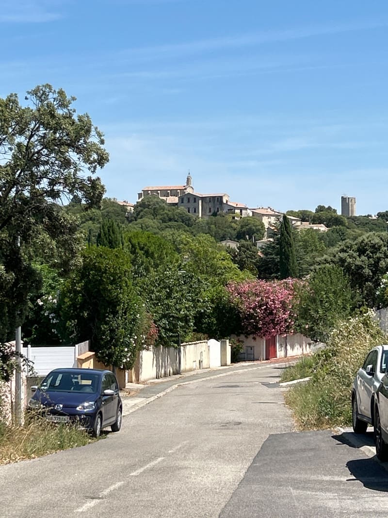Teyran / Assas de Vignes en Garrigues - Teyran