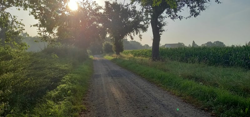 Balade à la campagne de Saint Gérand de Vaux - Saint-Gérand-de-Vaux
