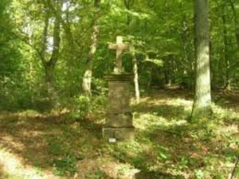 Chemin forestier entre Hombourg et Kédange-sur-Canner - Hombourg-Budange