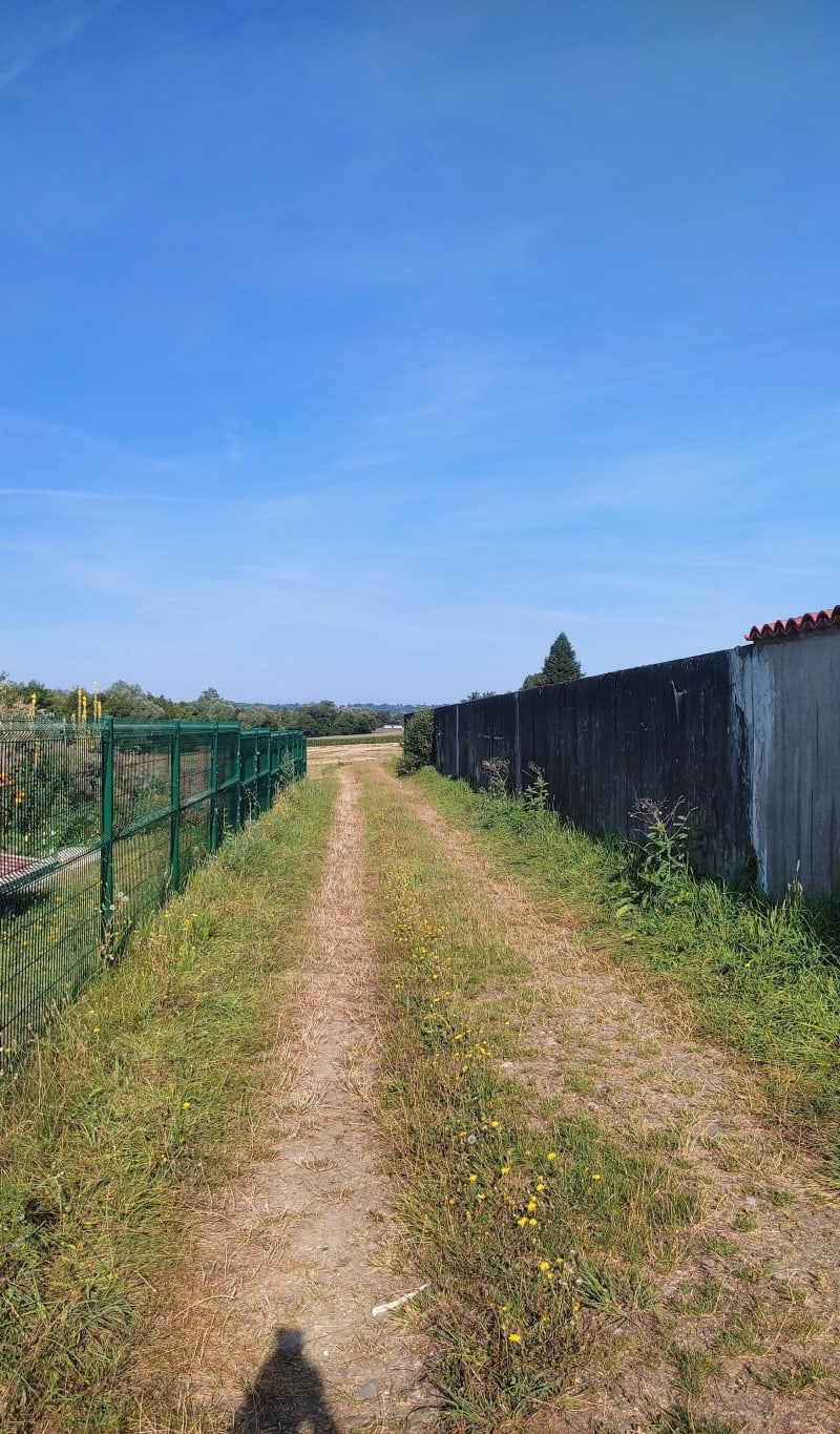 Balade champêtre entre le cimetière des Abrets et Charancieu - Les Abrets en Dauphiné