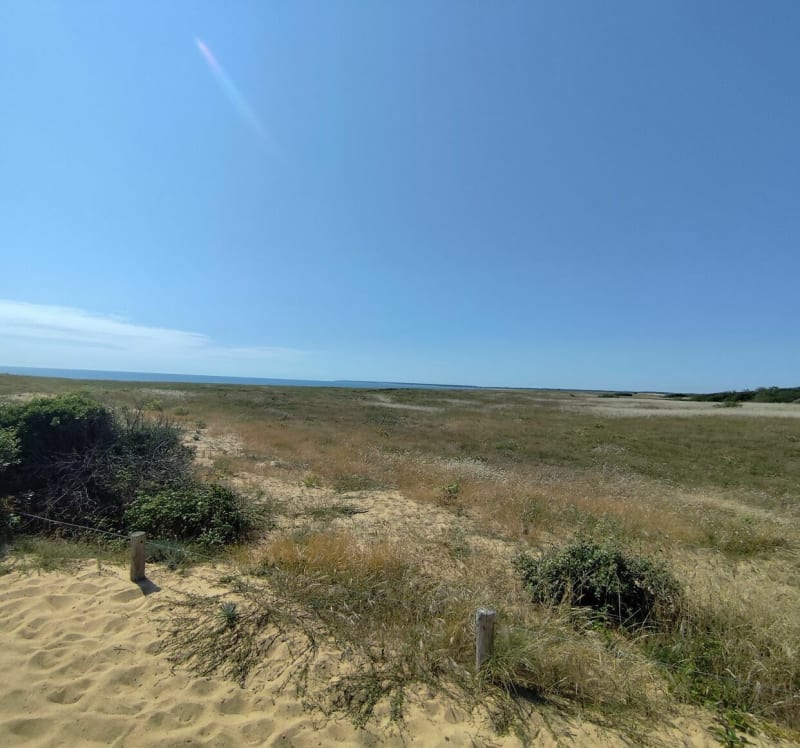 La Grière - La Tranche-sur-Mer - Longeville-sur-Mer