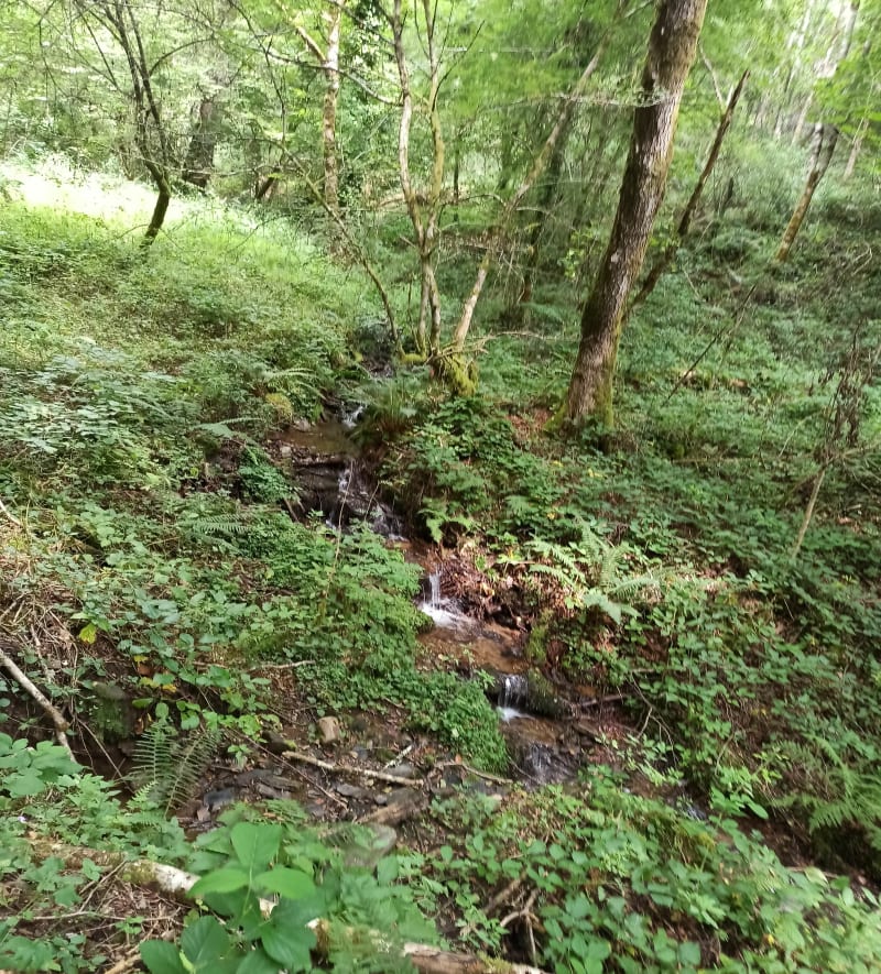 Cazottes Grivaldes en passant par Bouesques et Roquechauffra - Ladinhac