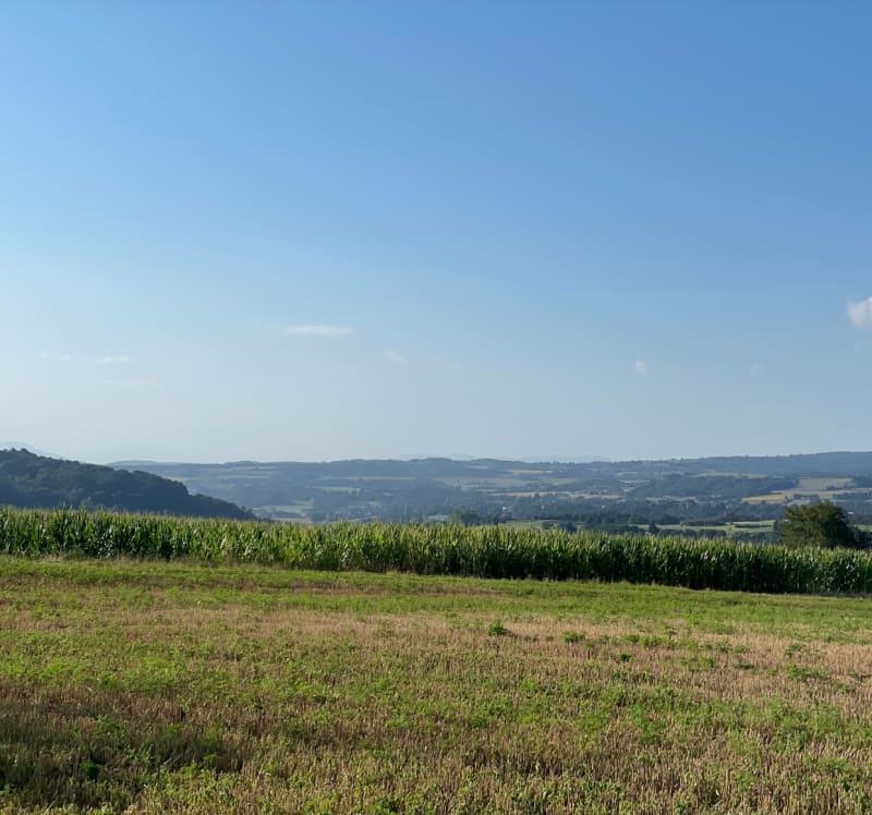 Loudon retour par l’étang de Rosière - Bourgoin-Jallieu