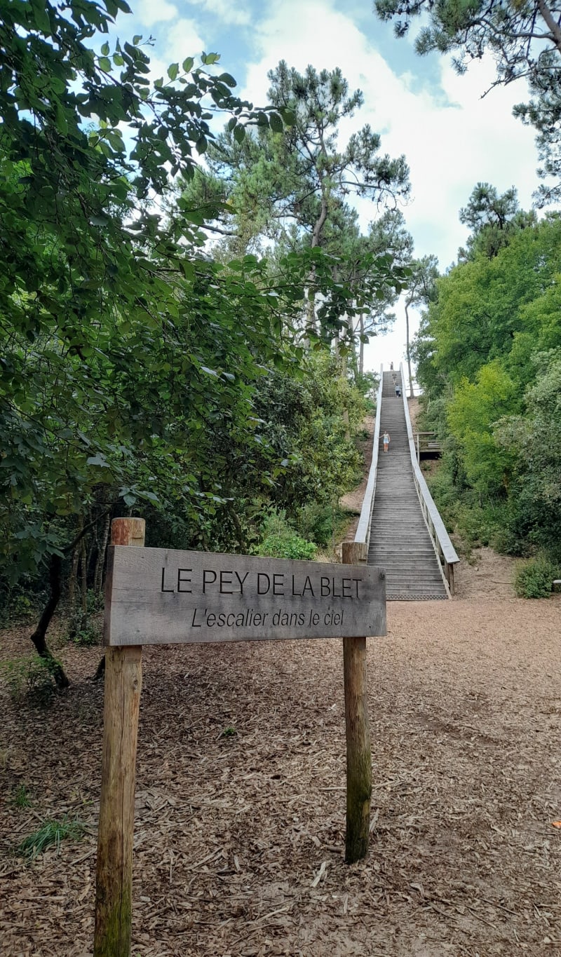 Boucle vendéenne autour de La Barre-de-Monts - La Barre-de-Monts