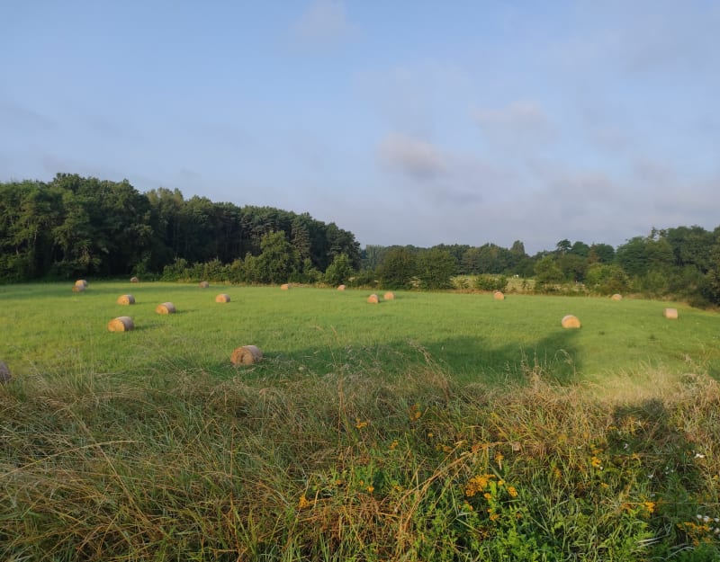 Villandry, sa forêt et sa campagne - Azay-le-Rideau