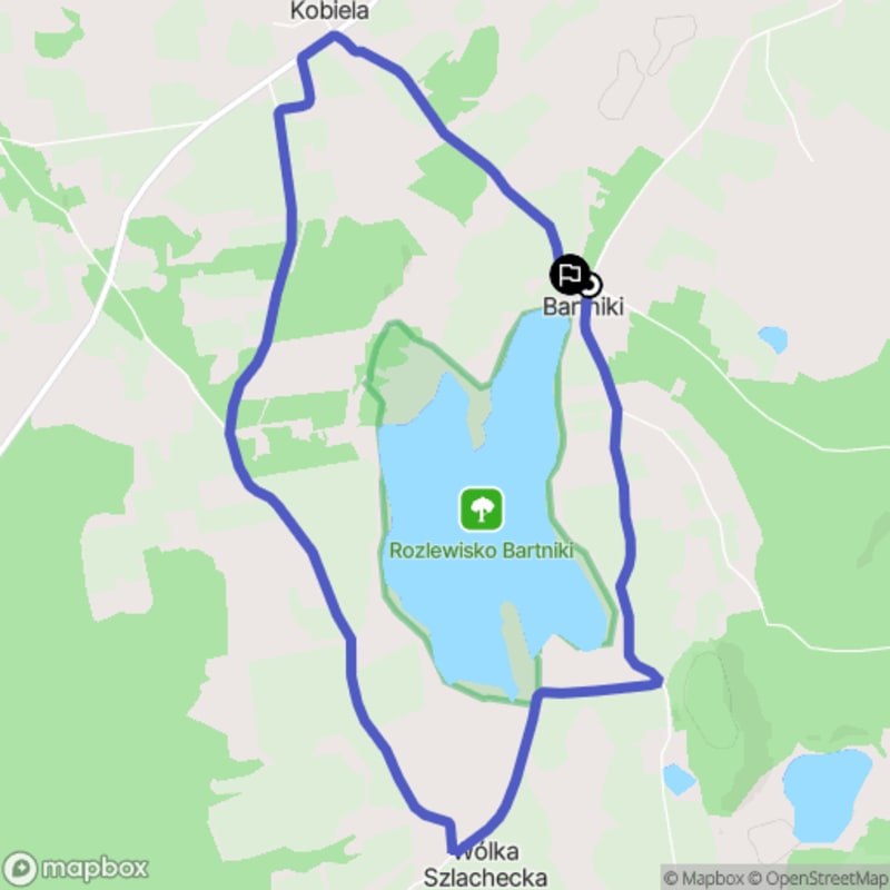 Ścieżką przez Bartniki na trudnym terenie (8,0 km) - Bartniki