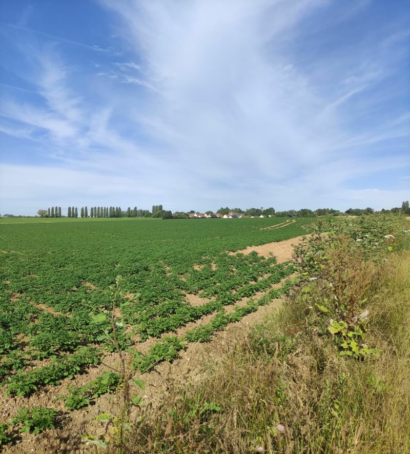Entre Champs et sous bois à Itancourt - Itancourt