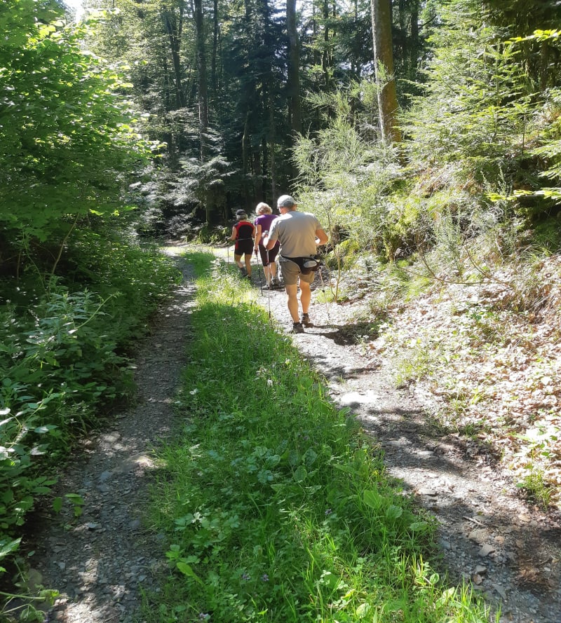 La roche du cerf depuis Lepuix - Lepuix