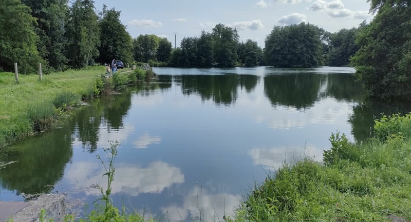 Balade de campagne entre les étangs - Villars-les-Dombes