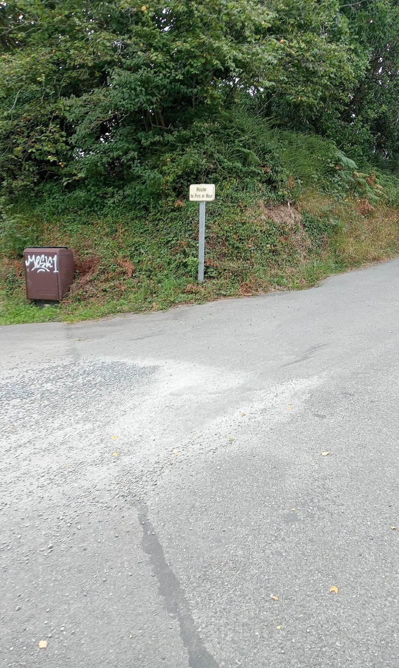 Boucle vers le grand rocher sur chemin non balisé par moment - Plestin-les-Grèves