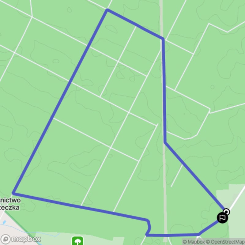 Ścieżka w Czeszewie o długości 8,6 km z poziomymi różnicami terenu i umiarkowaną trudnością (średnia) - Czeszewo