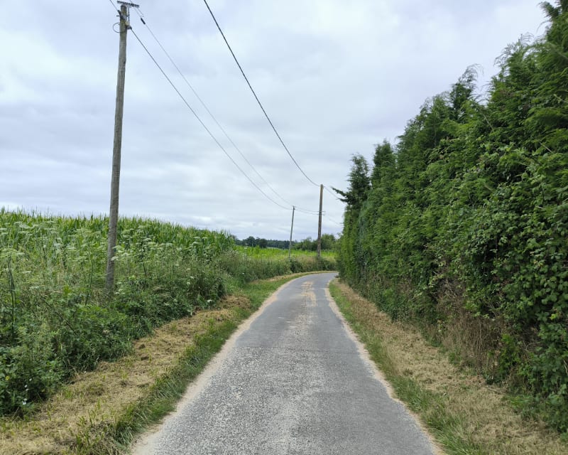 Balade à travers champs Requeil et Yvré-le-Pôlin - Requeil