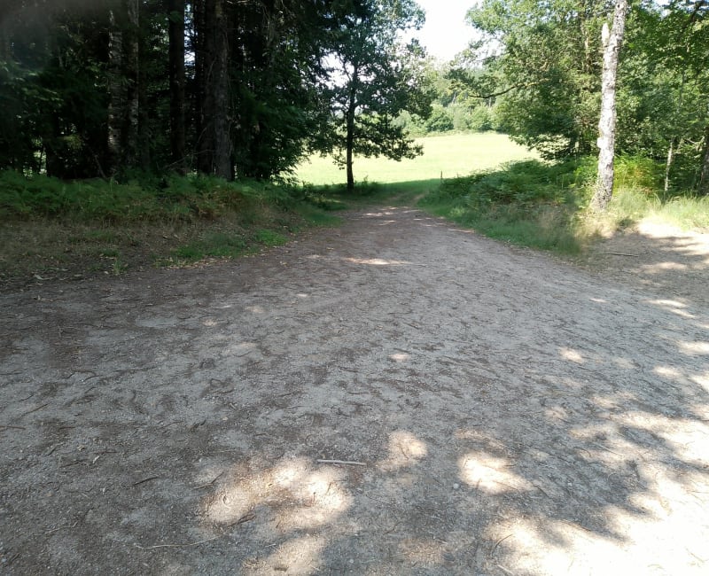 Rivière ombragée à Pradines - Saint-Hilaire-Foissac