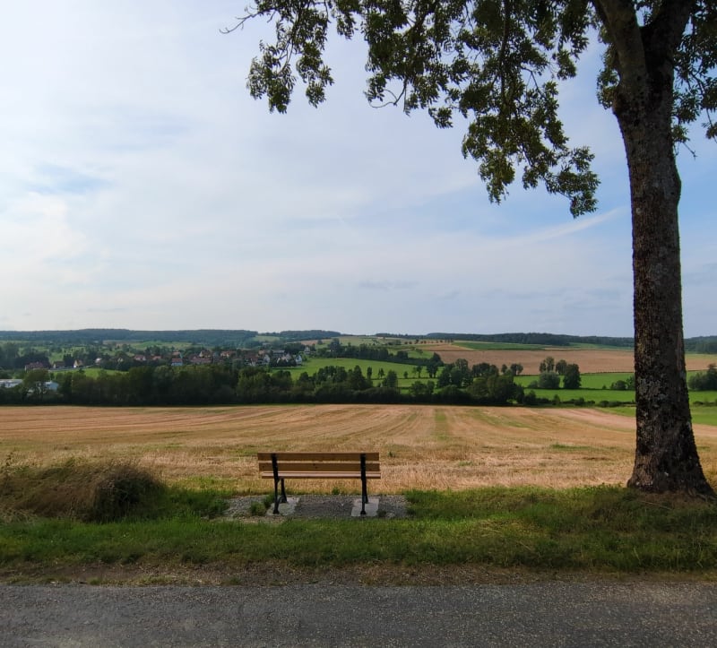 Boucle entre Veckersviller/Weyer et Schalbach - Veckersviller