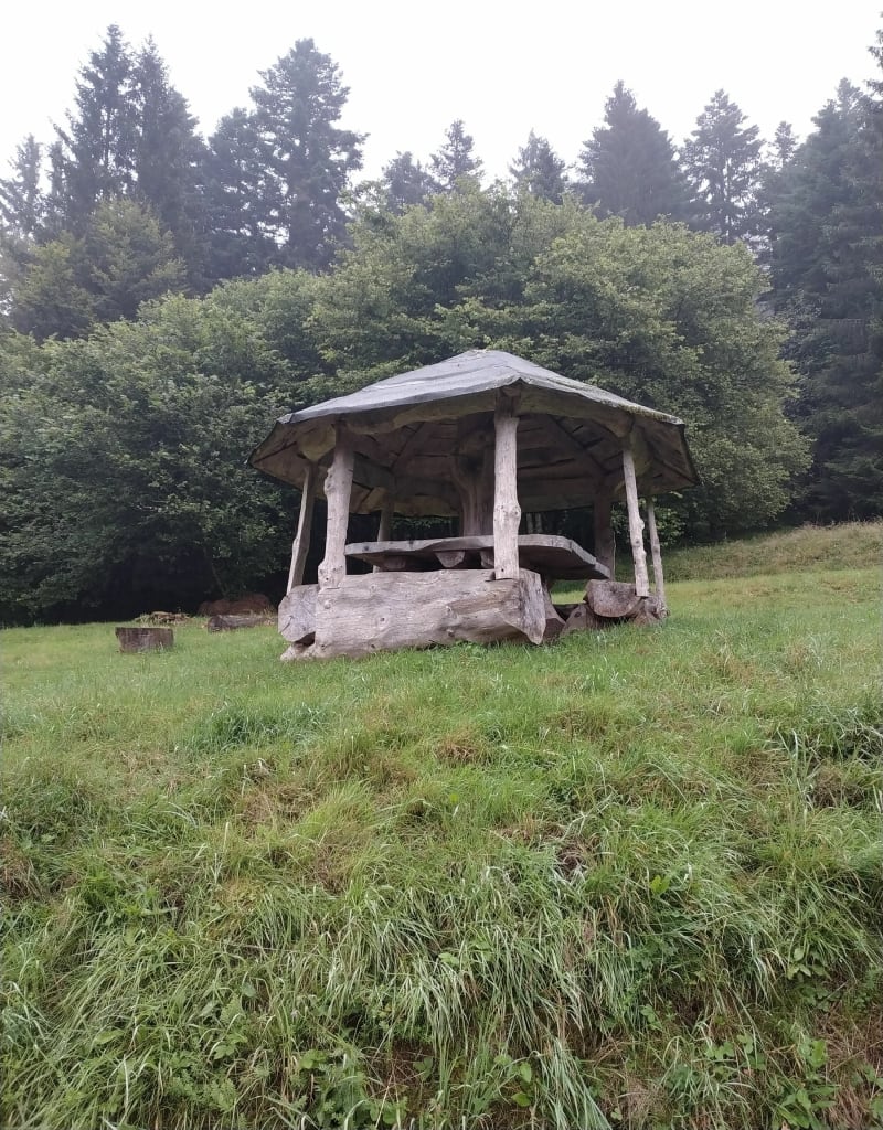 Balade avec mon fidèle compagnon depuis Les Minières - Grandfontaine