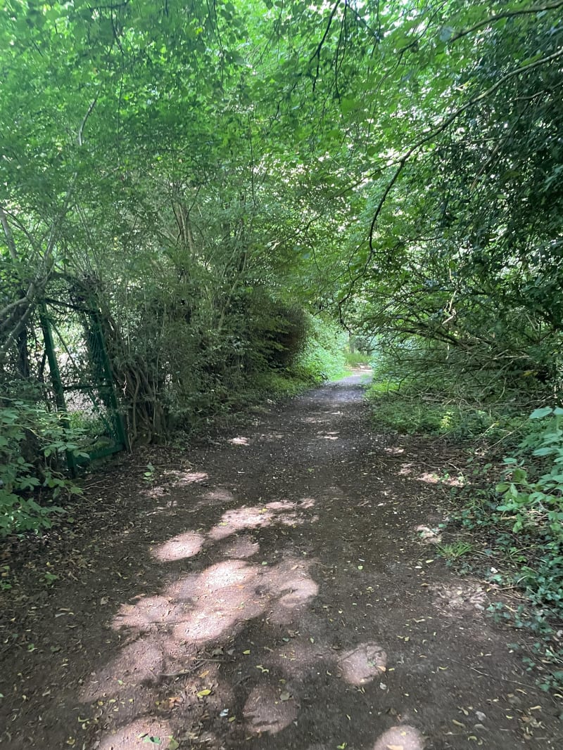Forêt du Mesnil-Conteville - Choqueuse-les-Bénards