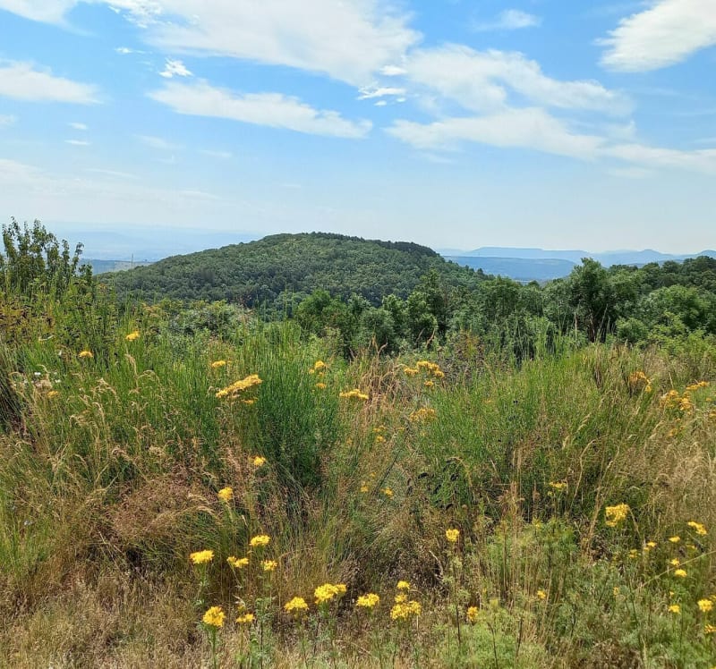 Tour du Puy de la Bannière - Volvic