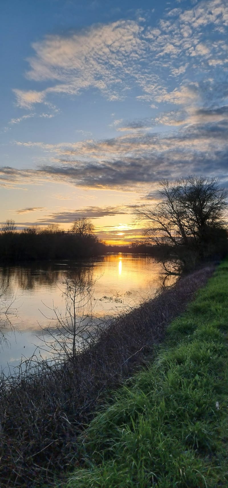 Bord de Loire de Vair sur Loire - Vair-sur-Loire