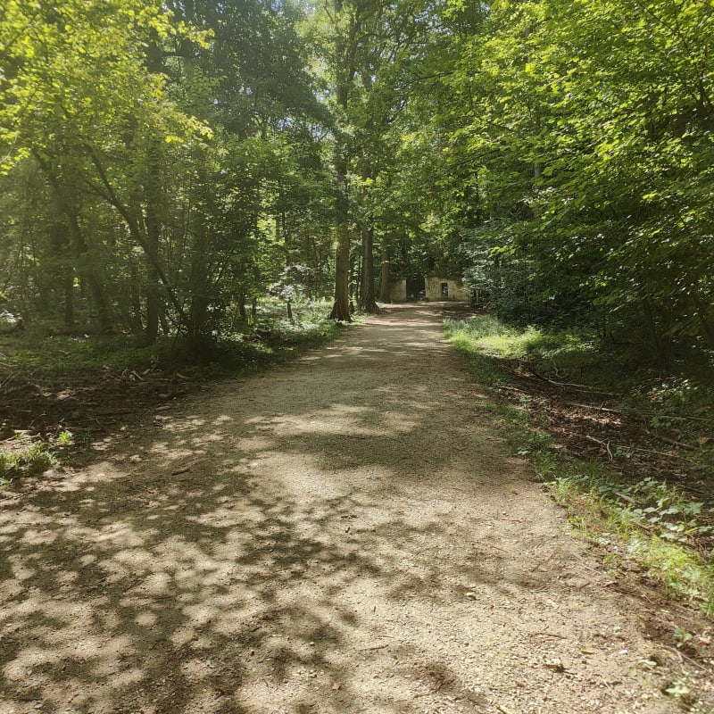 Balade en foret Ecouen - Sarcelles