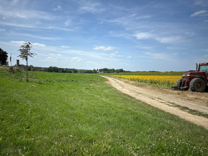 Balade entre champs et forêt depuis Largny-sur-Automne - Largny-sur-Automne
