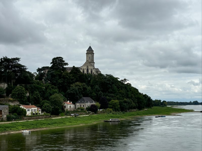 Bords de Loire depuis Montjean-sur-Loire - Mauges-sur-Loire